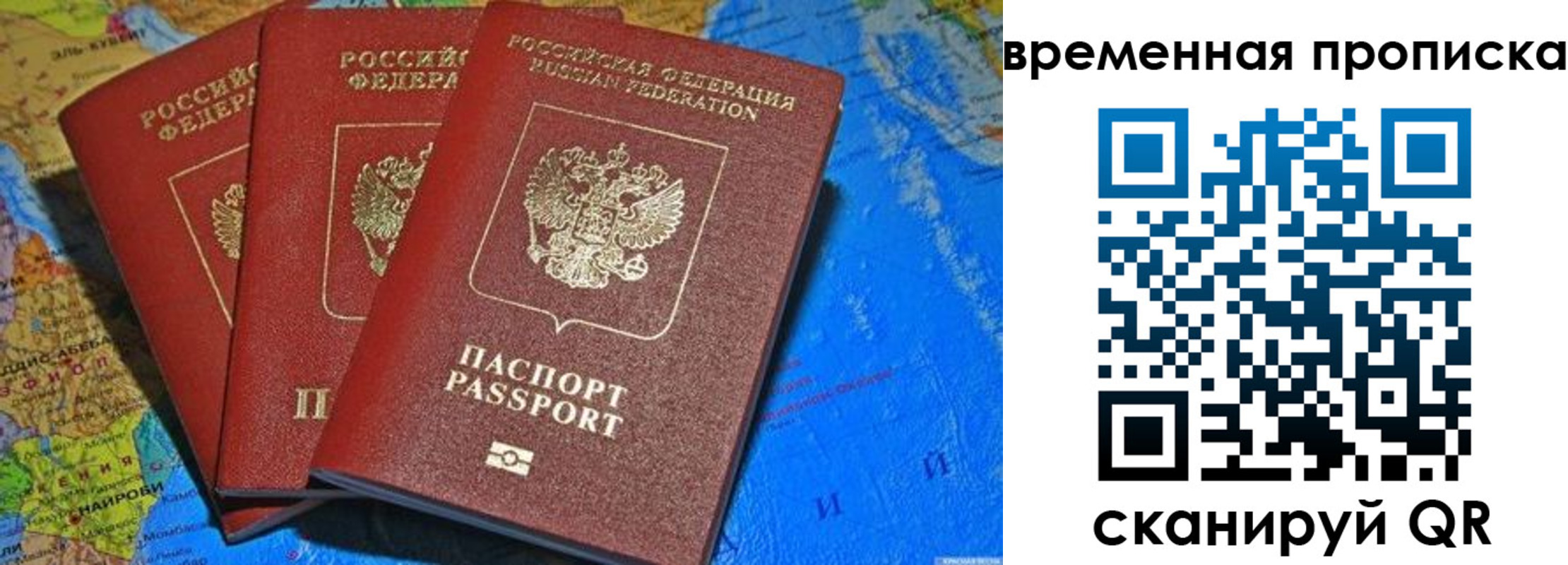 прописка в квартире в Раменском